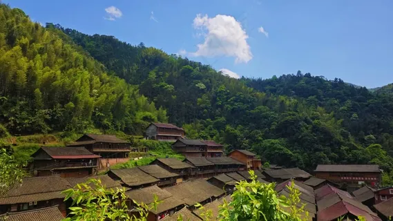 日照林间村落