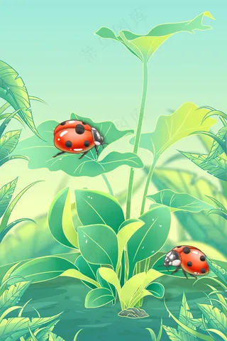 二十四节气惊蛰昆虫植物瓢虫草地