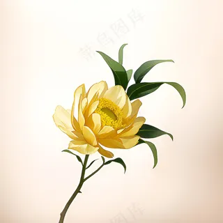白色黄色手绘新中式风格花植物17 白色黄色手绘新中式风格花植物17