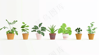 室内盆栽绿植装饰品类摄影图