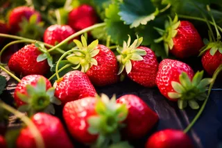 草莓水果摄影图