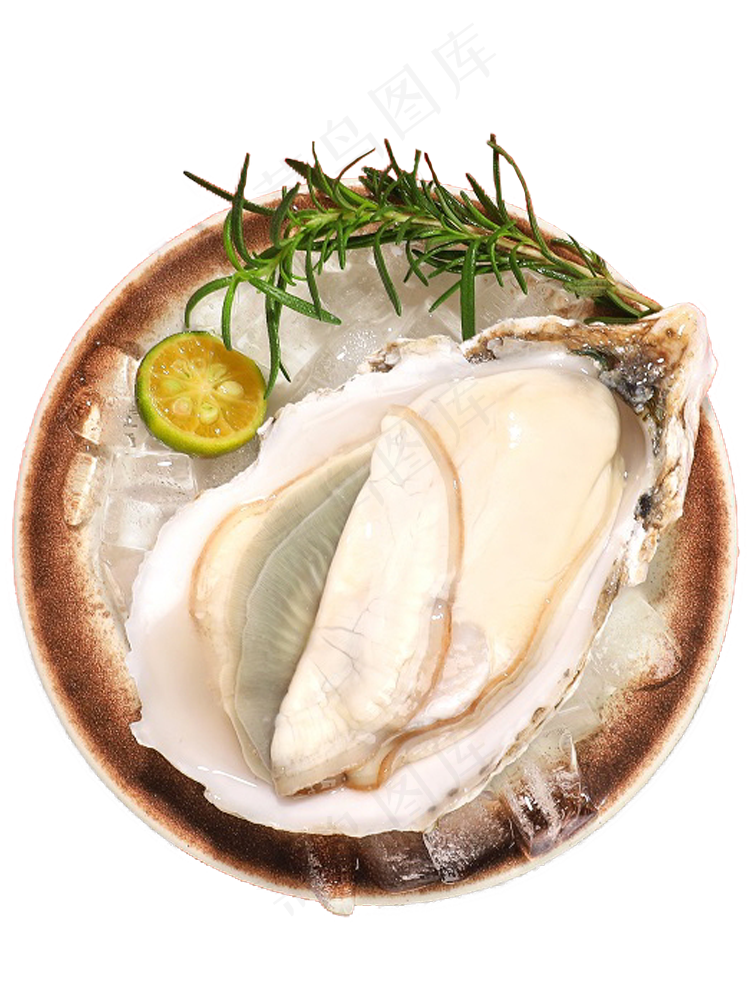 生蚝朝鲜奶蚝PNG素材