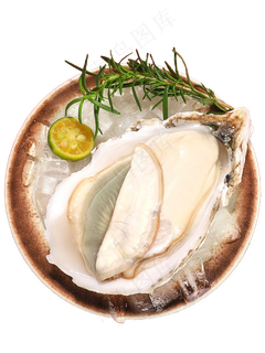 生蚝朝鲜奶蚝PNG素材