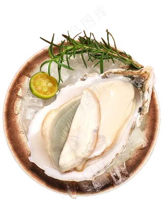 生蚝朝鲜奶蚝PNG素材