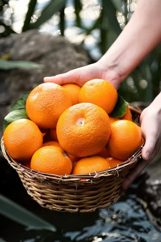 竹篮里的橘子橙子水果摄影图