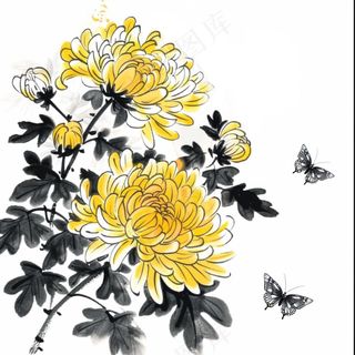 水墨菊花蝴蝶清明中秋插画免抠