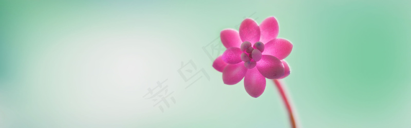 微软经典壁纸 (10)