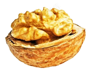 免扣带壳核桃仁