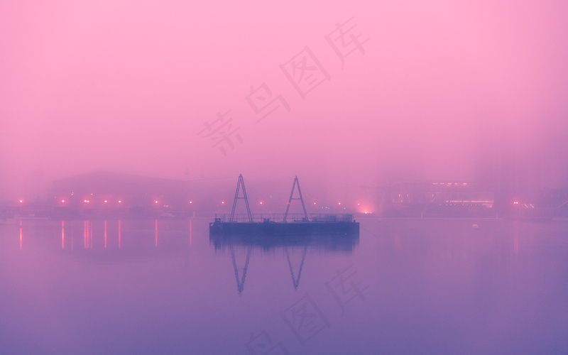 云雾森林图片