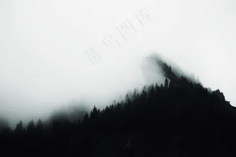 云雾森林图片 云雾森林图片