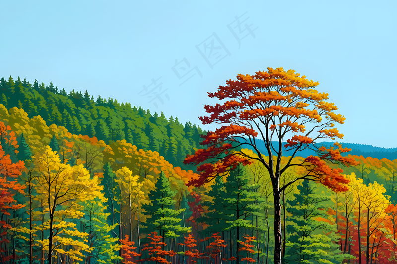 晴朗天空对面树林图片