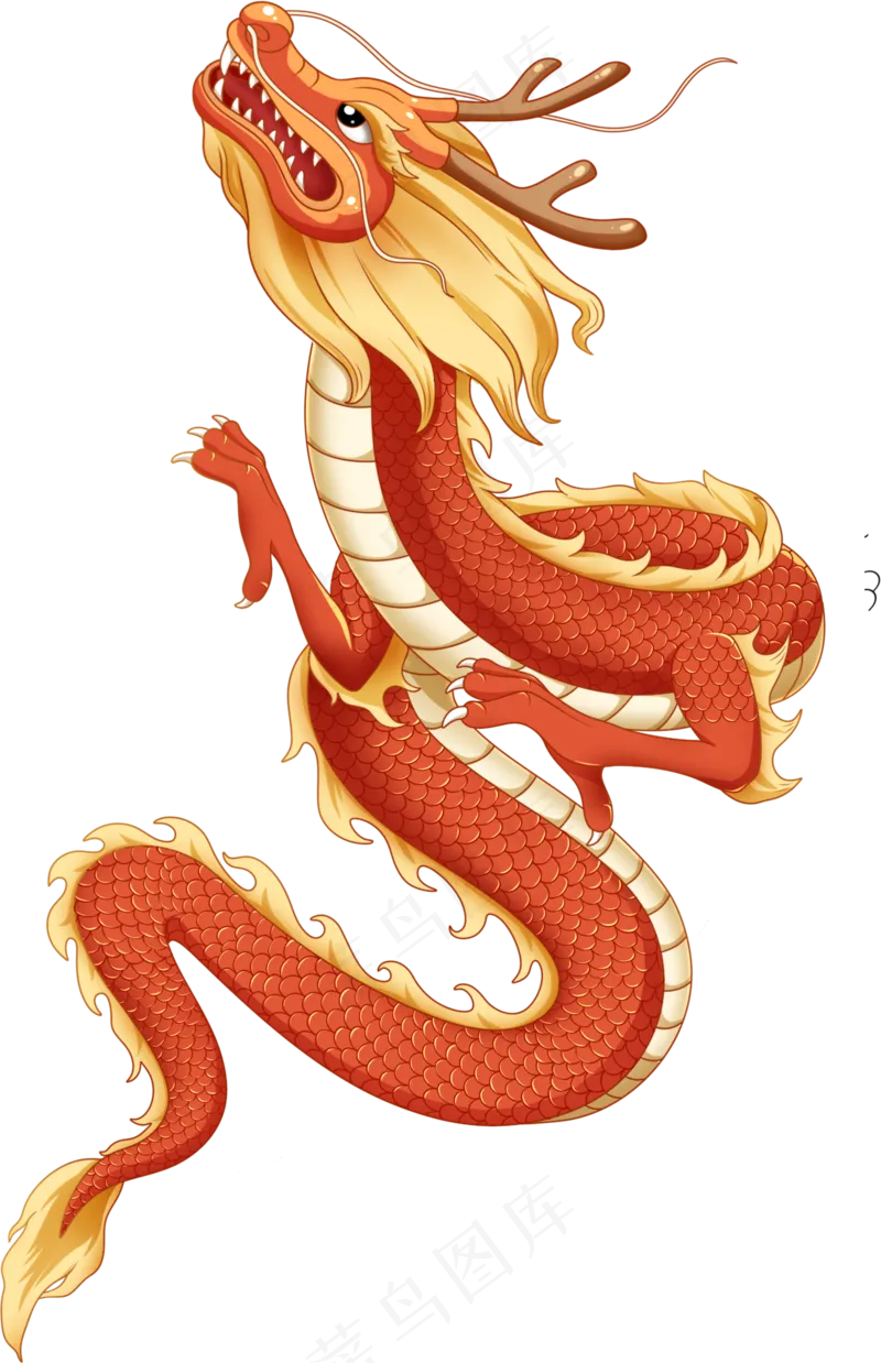 龙年 龙 红色 喜庆