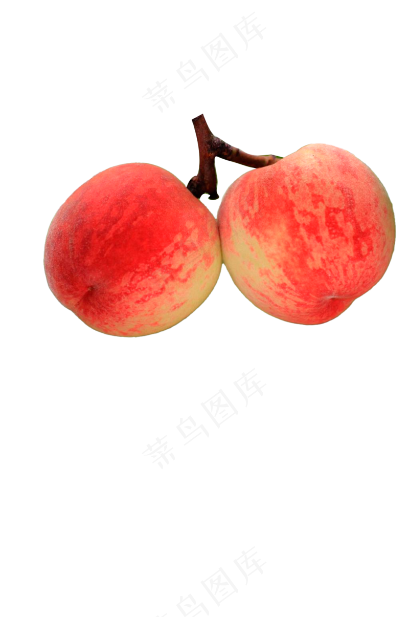 带枝桃子 免抠