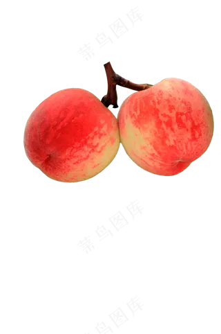 带枝桃子 免抠
