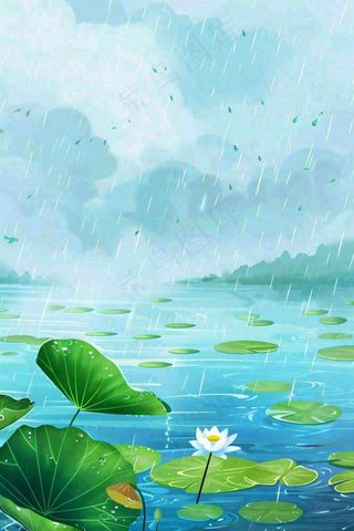 春天下雨天池塘荷花荷叶清凉雨水谷雨处暑插画背景