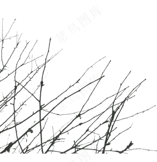 13树枝阴影元素