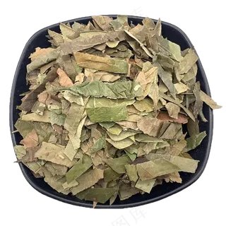 枇杷叶免扣摄影