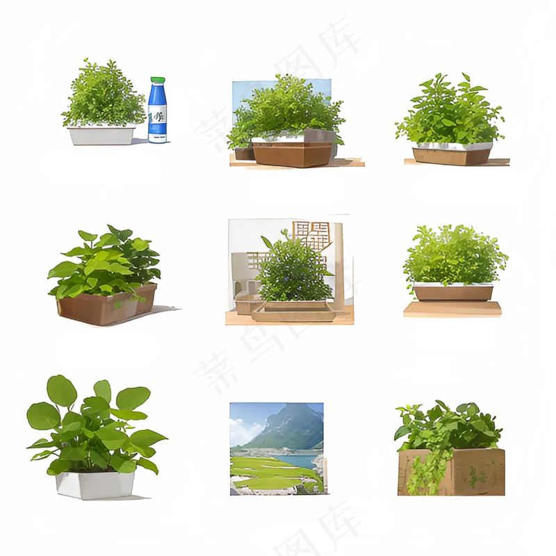 绿色手绘小植物花草系列免抠素材65