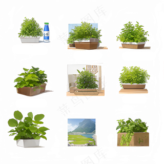 绿色手绘小植物花草系列免抠素材65