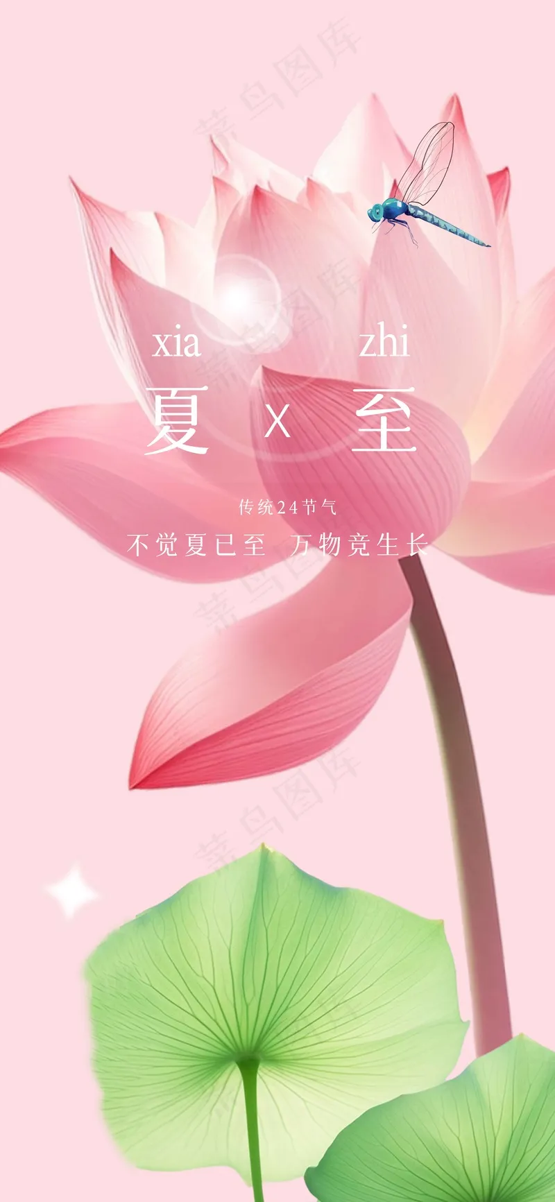 夏至节气传统海报psd模版下载