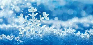 冬天雪花结冰寒冷大寒小寒大雪立冬冬至摄影图