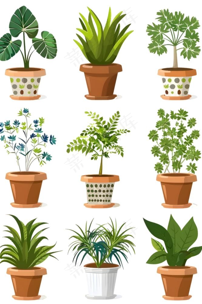 室内盆栽绿植装饰手绘插画免抠(1266x1900)
