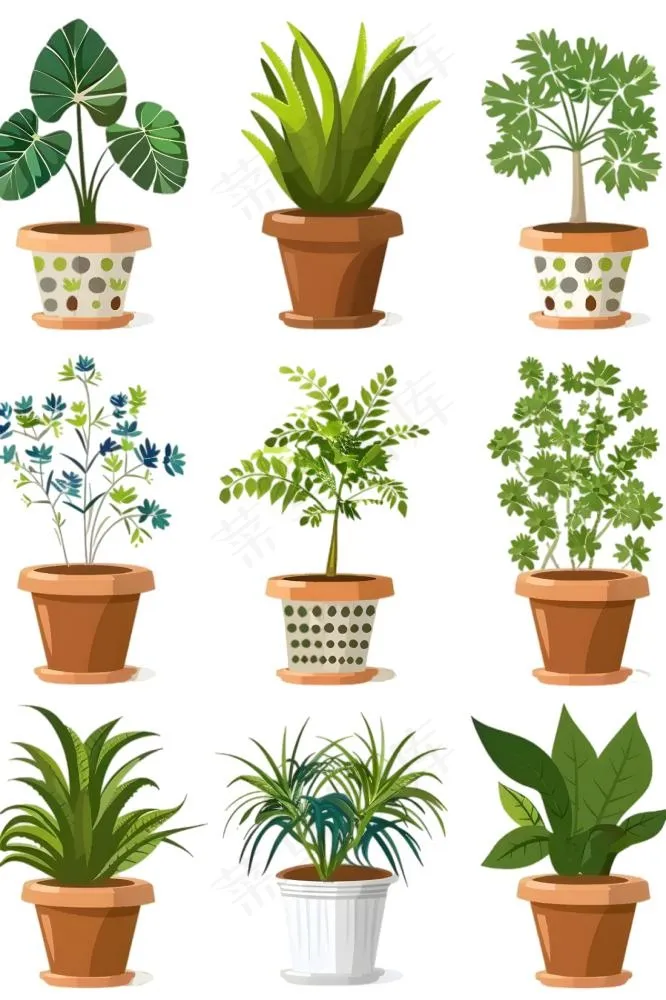 室内盆栽绿植装饰手绘插画免抠(1266x1900)