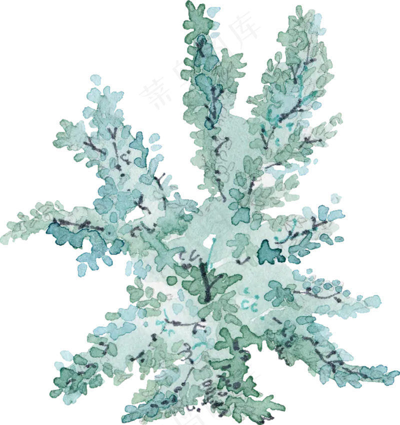手绘植物免扣素材