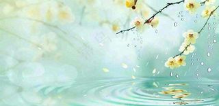 春天春暖花开梅雨季雨水谷雨黄花插画背景