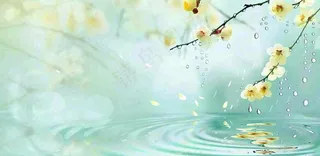 春天春暖花开梅雨季雨水谷雨黄花插画背景