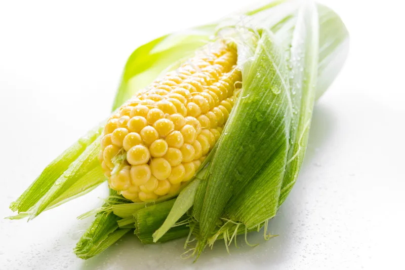 新鲜玉米食材
