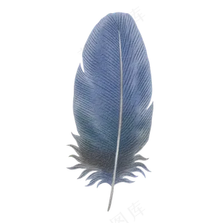 水彩羽毛素材