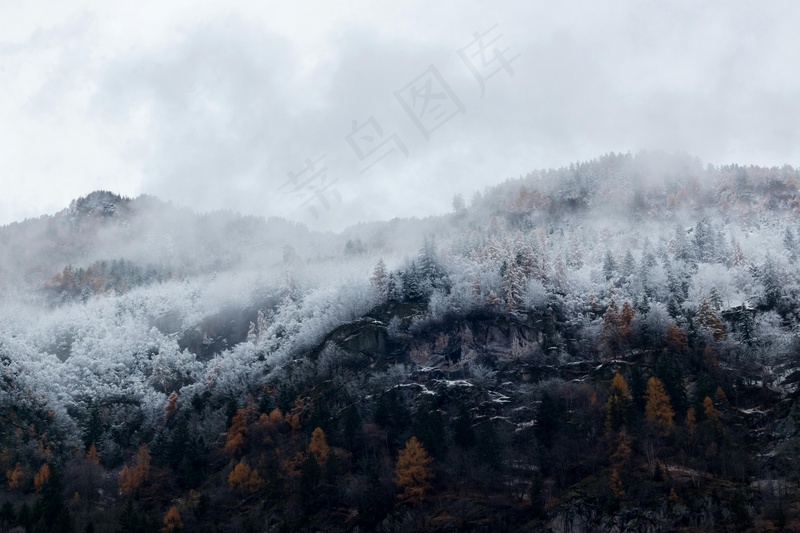 冰雪秋山图