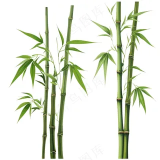 竹子竹叶竹林绿色卡通插画免抠