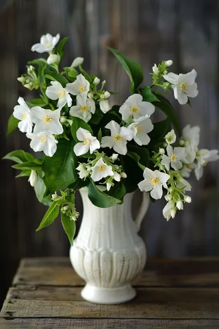 栀子花鲜花花瓶摄影图