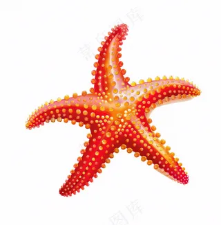 海星海洋卡通插画免抠