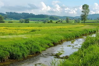 春天草地湿地农田水沟摄影图