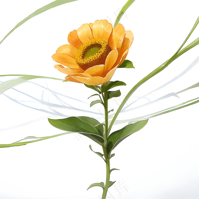 黄色向日葵免抠素材101