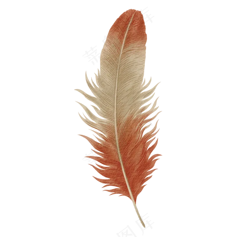 水彩羽毛免扣