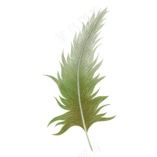 水彩羽毛免扣