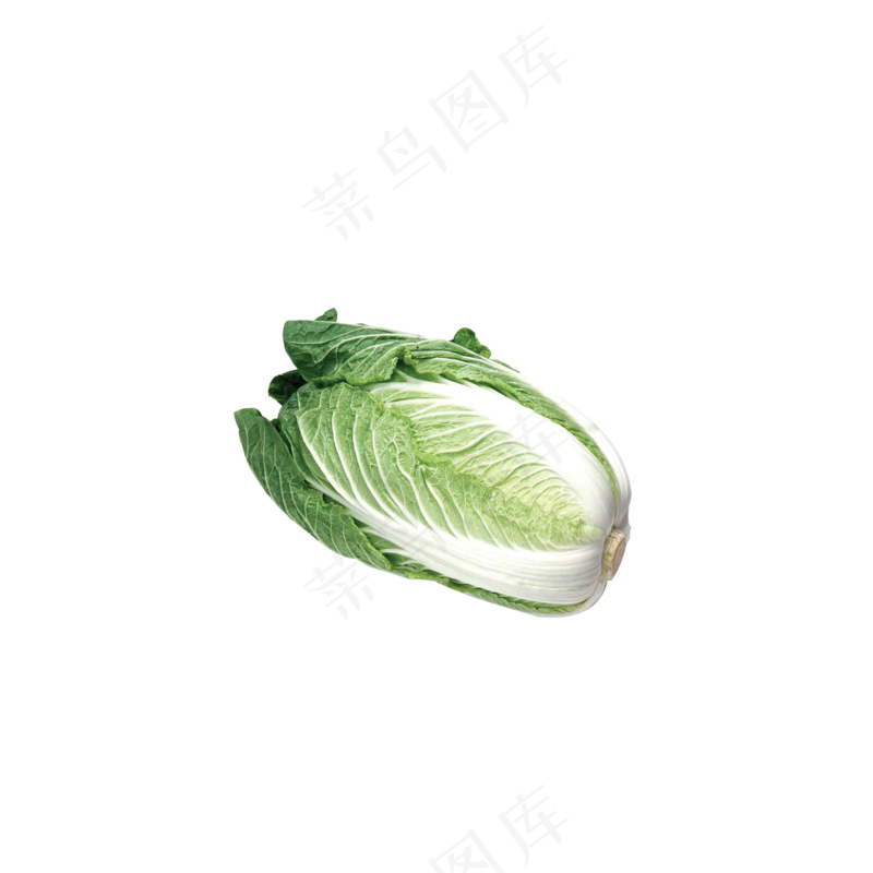 免抠躺着的大白菜