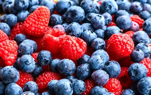 蓝莓树莓水果图片