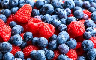 蓝莓树莓水果图片