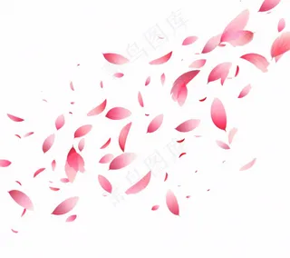 花瓣桃花樱花飘零插画免抠