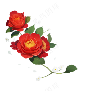 红色 海棠花 手绘 免抠 素材34