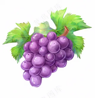 紫葡萄水果水彩插画免抠