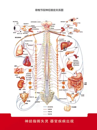 孕婴用品店各厂家广告元素025