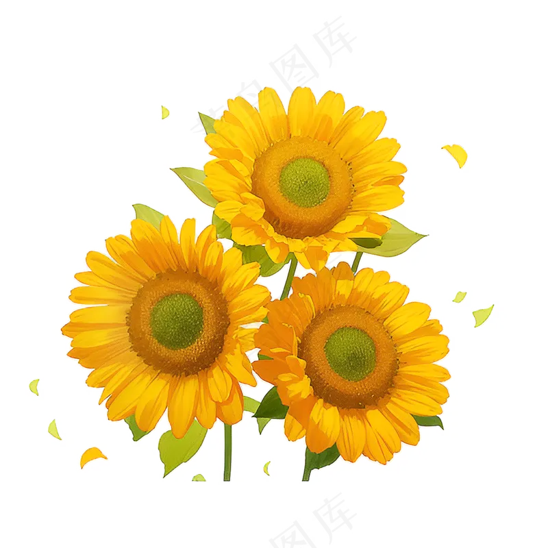 黄色向日葵花朵免抠素材28