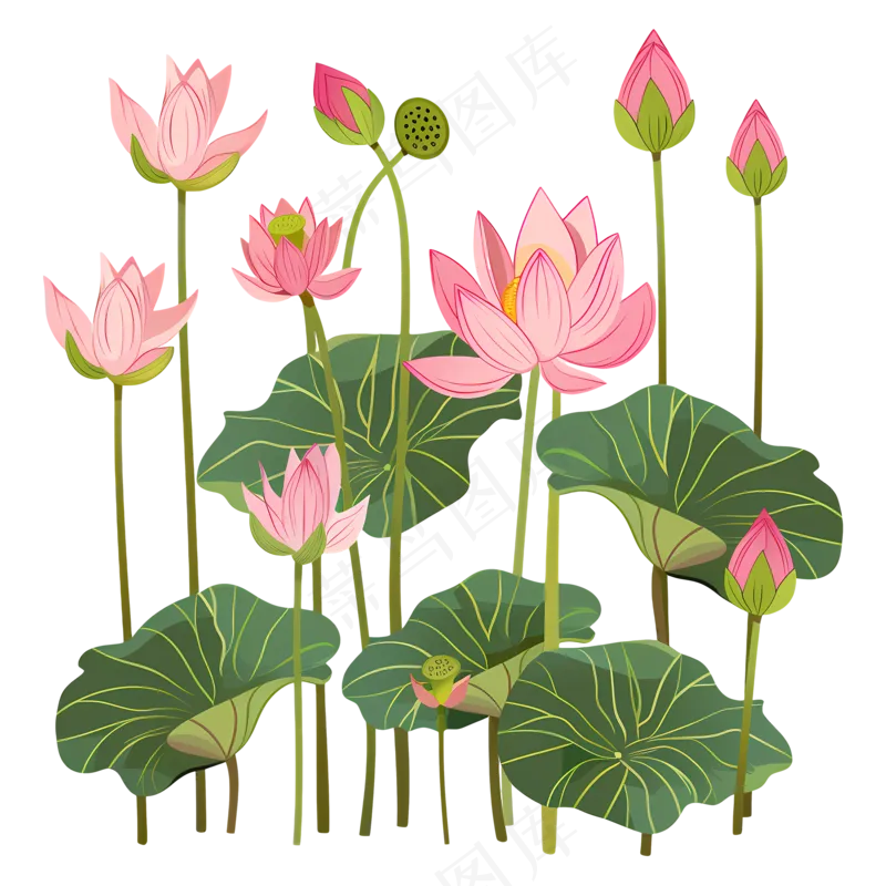免扣卡通多种荷花