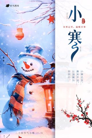 小寒气节海报